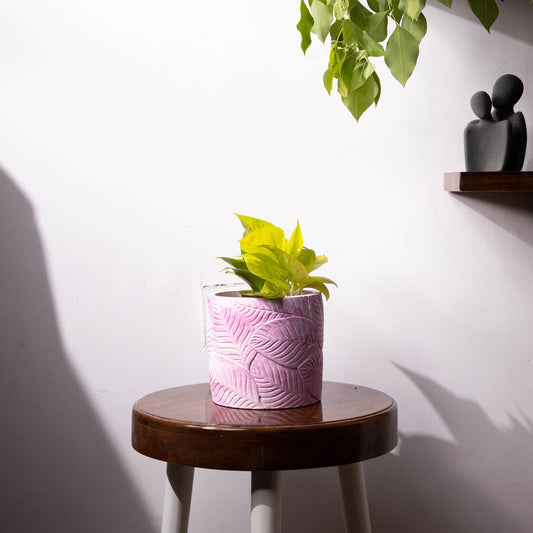 Frond-Candy Marble-Leaf Imprint Planter, features an Embossed Leaves texture