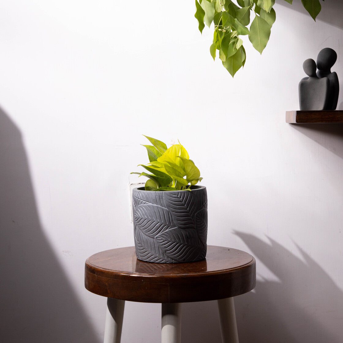 Frond-Mint Marble-Leaf Imprint Planter, features an Embossed Leaves texture