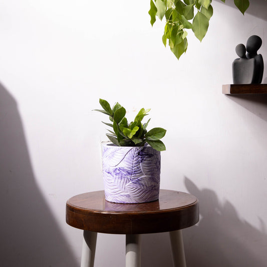 Frond-Orchid Marble-Leaf Imprint Planter, features an Embossed Leaves texture