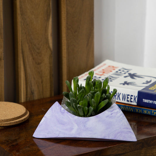 Tricle-Orchid Marble-Circular Triangle Shaped Planter