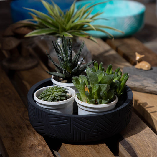 Oblik-Black-Zigzag Patterned Fruit Bowl and Plant Bowl