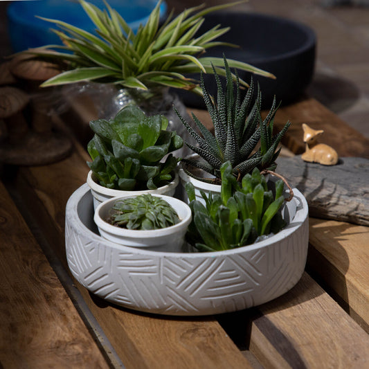 Oblik-Cement finish-Zigzag Patterned Fruit Bowl and Plant Bowl