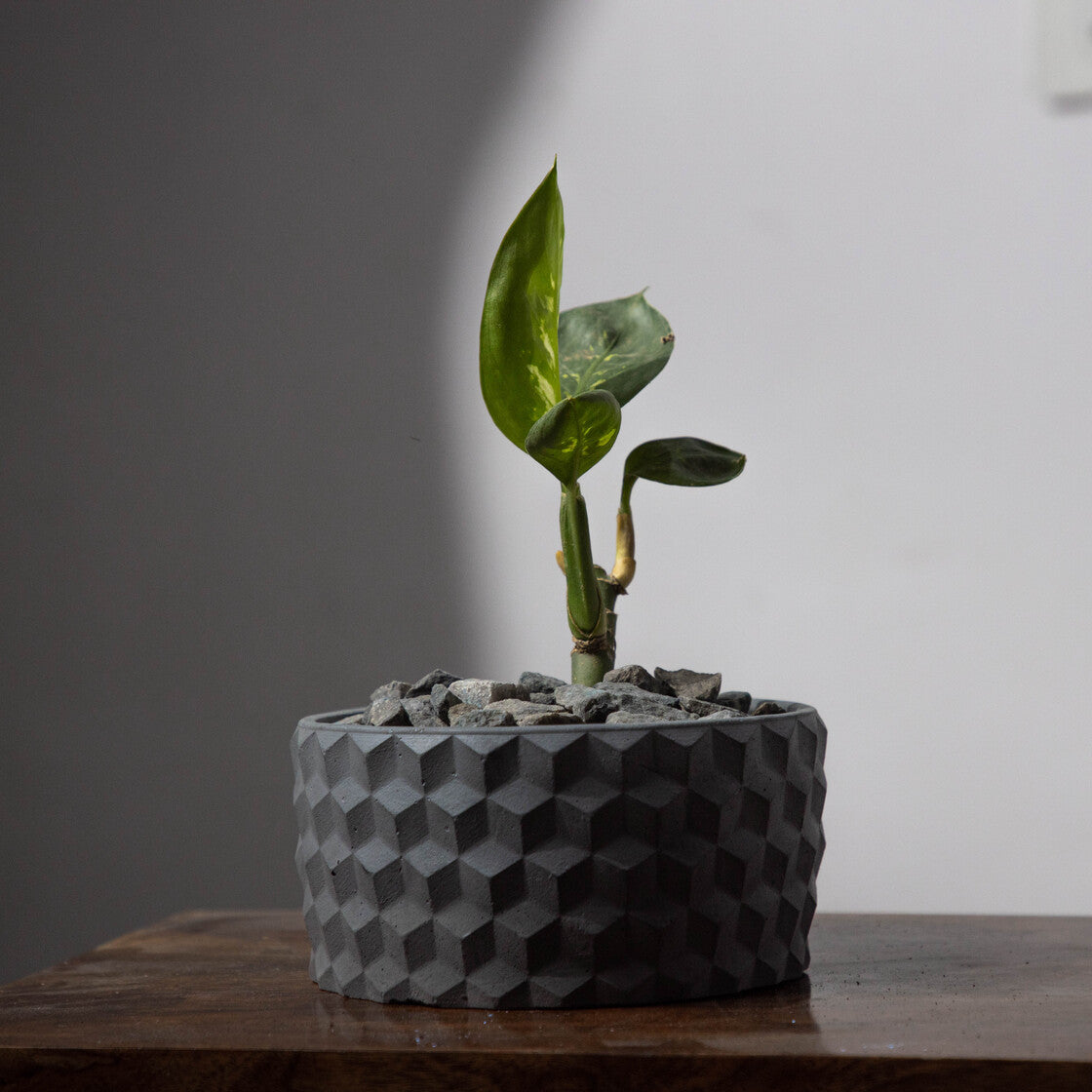 Cubetopia-Cement Finish-Patterned plant bowl