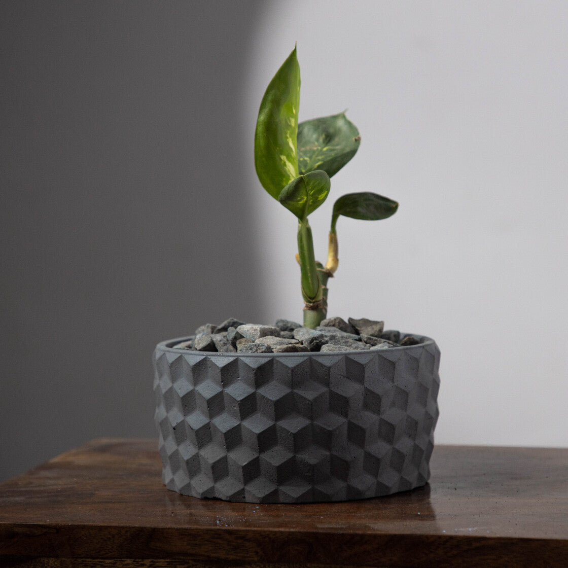 Cubetopia-Cement Finish-Patterned plant bowl