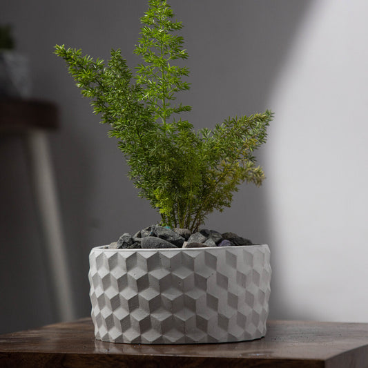 Cubetopia-Cement Finish-Patterned plant bowl