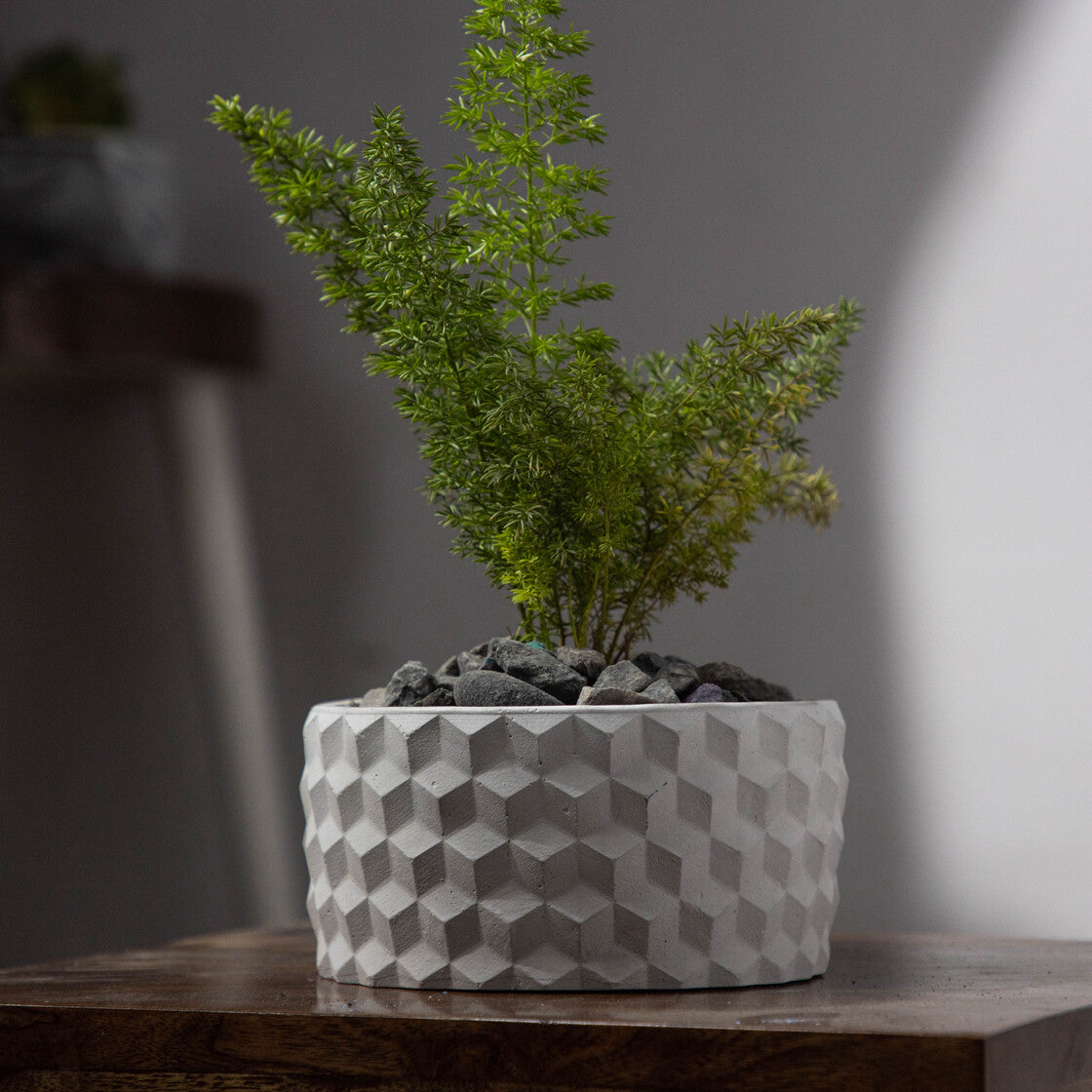 Cubetopia-Cement Finish-Patterned plant bowl