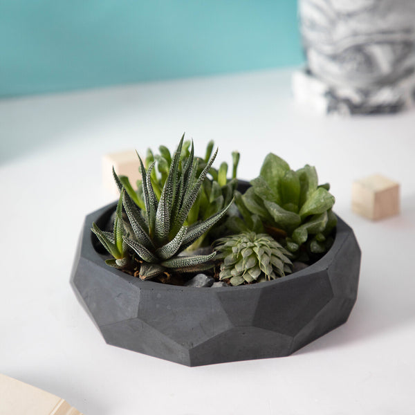 Nonagon Bowl-Orchid Marble-All-purpose Homeware- Fruit bowl and Plant bowl