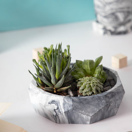 Nonagon Bowl-Nero Marble-All-purpose Homeware- Fruit bowl and Plant bowl