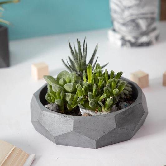 Nonagon Bowl-Dark Concrete-All-purpose Homeware- Fruit bowl and Plant bowl