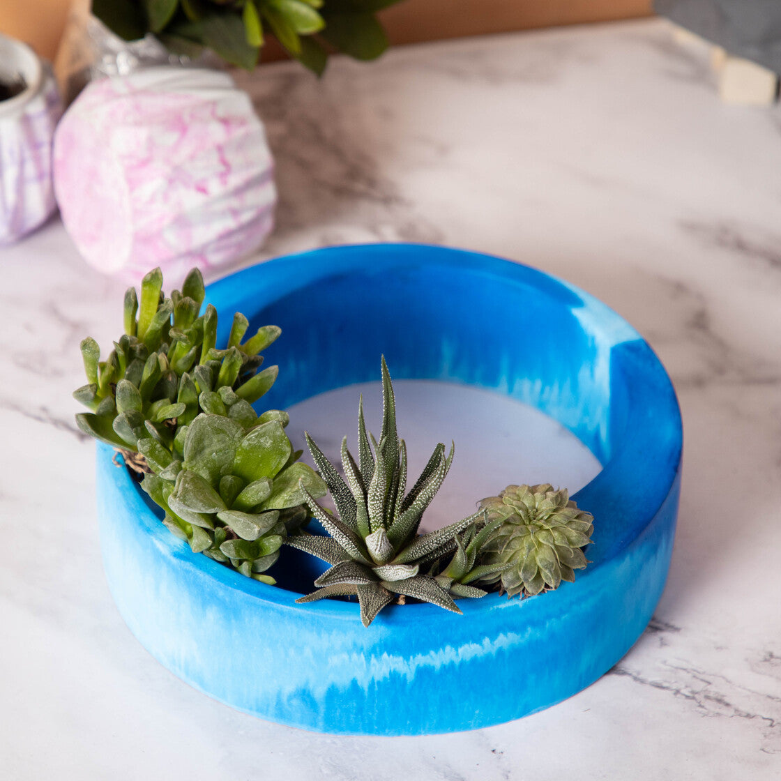 Halo-Dark Concrete-Circular, Moon Shaped Succulent Planter for beautifying your garden spaces