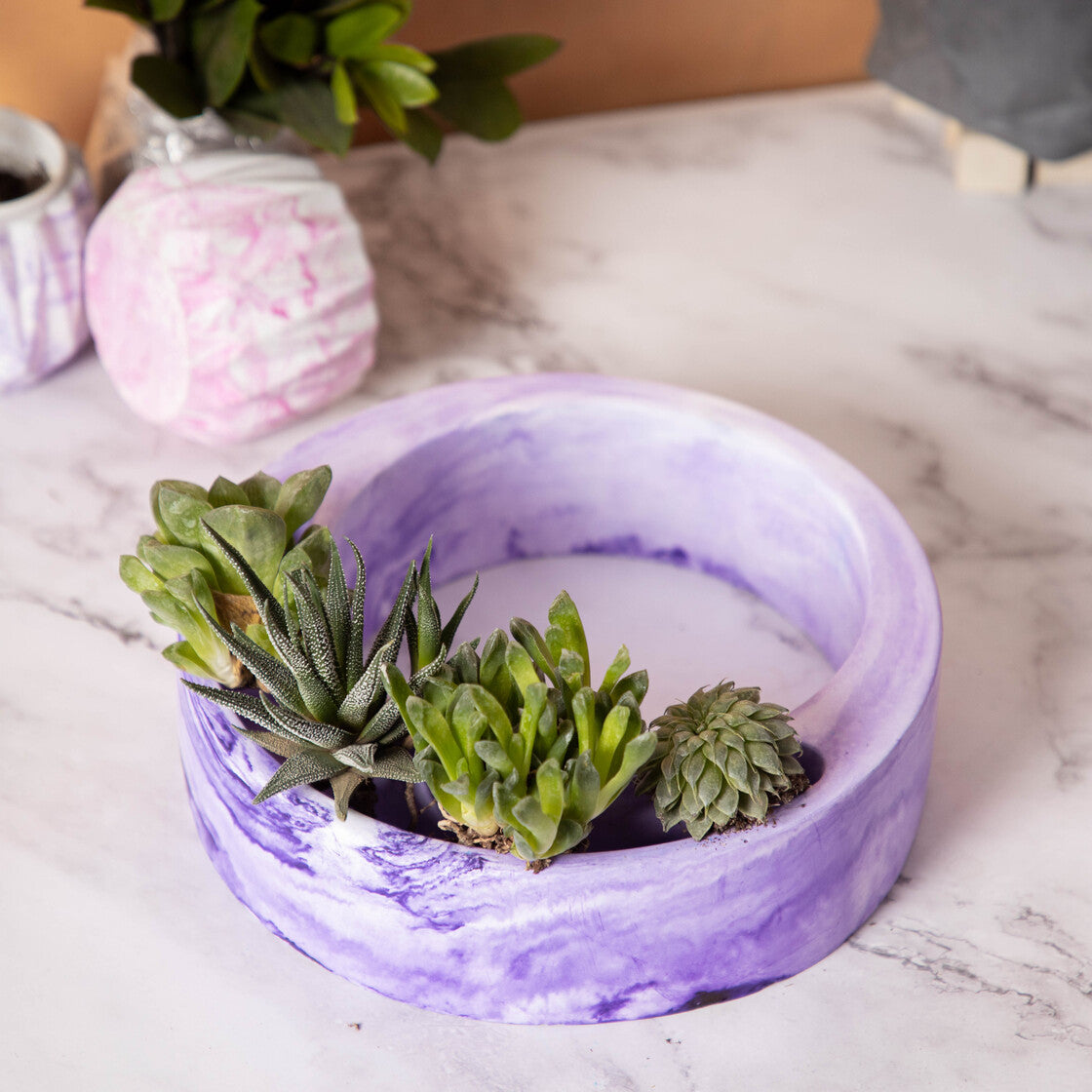 Halo-Dark Concrete-Circular, Moon Shaped Succulent Planter for beautifying your garden spaces