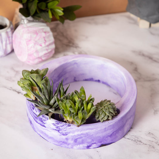 Halo-Orchid Marble-Circular, Moon Shaped Succulent Planter for beautifying your garden spaces