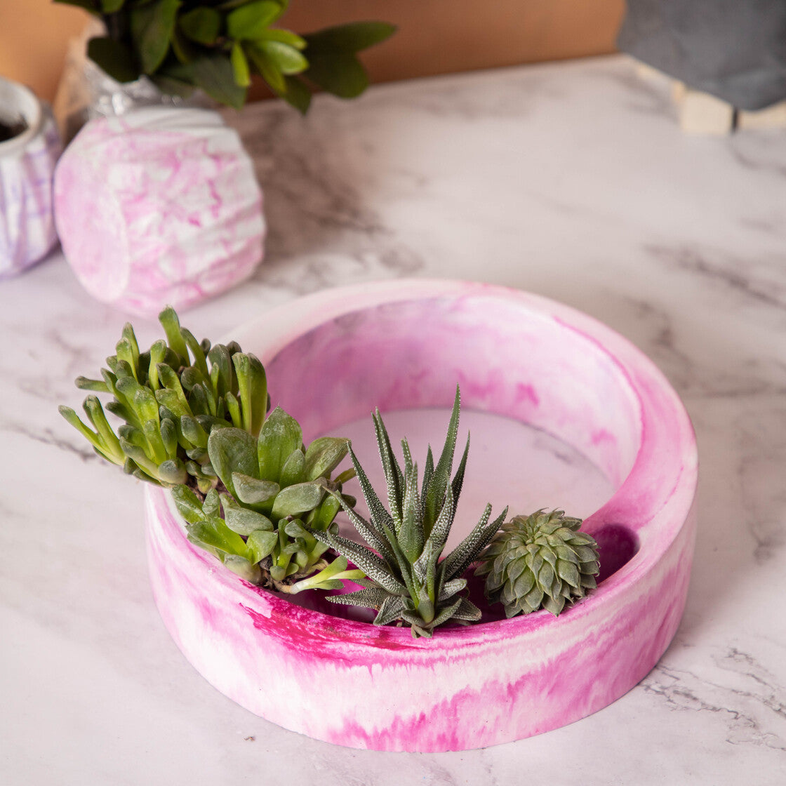 Halo-Dark Concrete-Circular, Moon Shaped Succulent Planter for beautifying your garden spaces