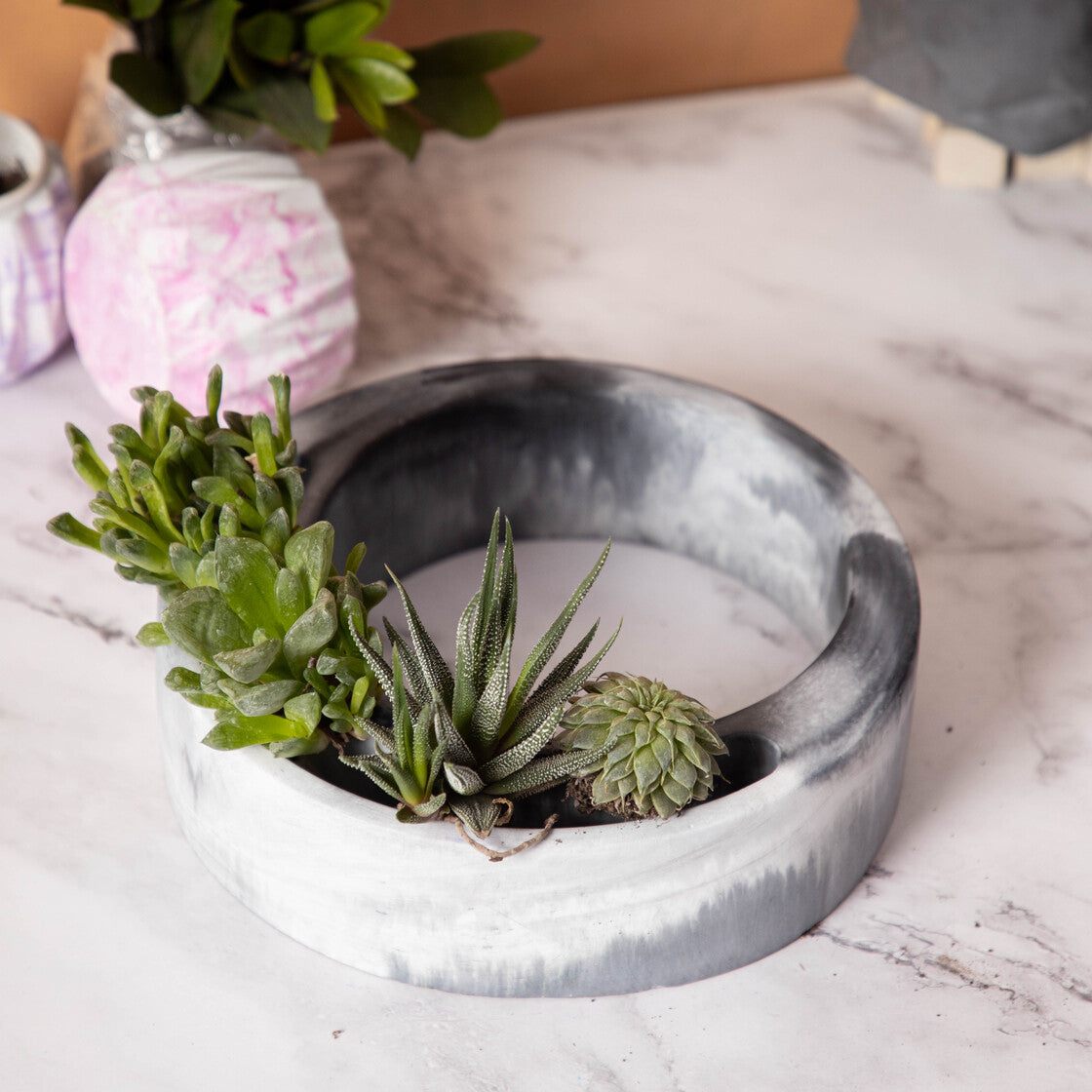Halo-Dark Concrete-Circular, Moon Shaped Succulent Planter for beautifying your garden spaces
