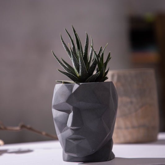 Skull-n-vogue- Dark Concrete Head shaped pot, ideal for both indoor and outdoor plants, contemporary faceted design