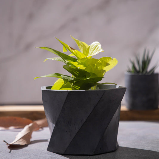 Dyoct-Dark Concrete-Octagonal Faceted Modern Planter