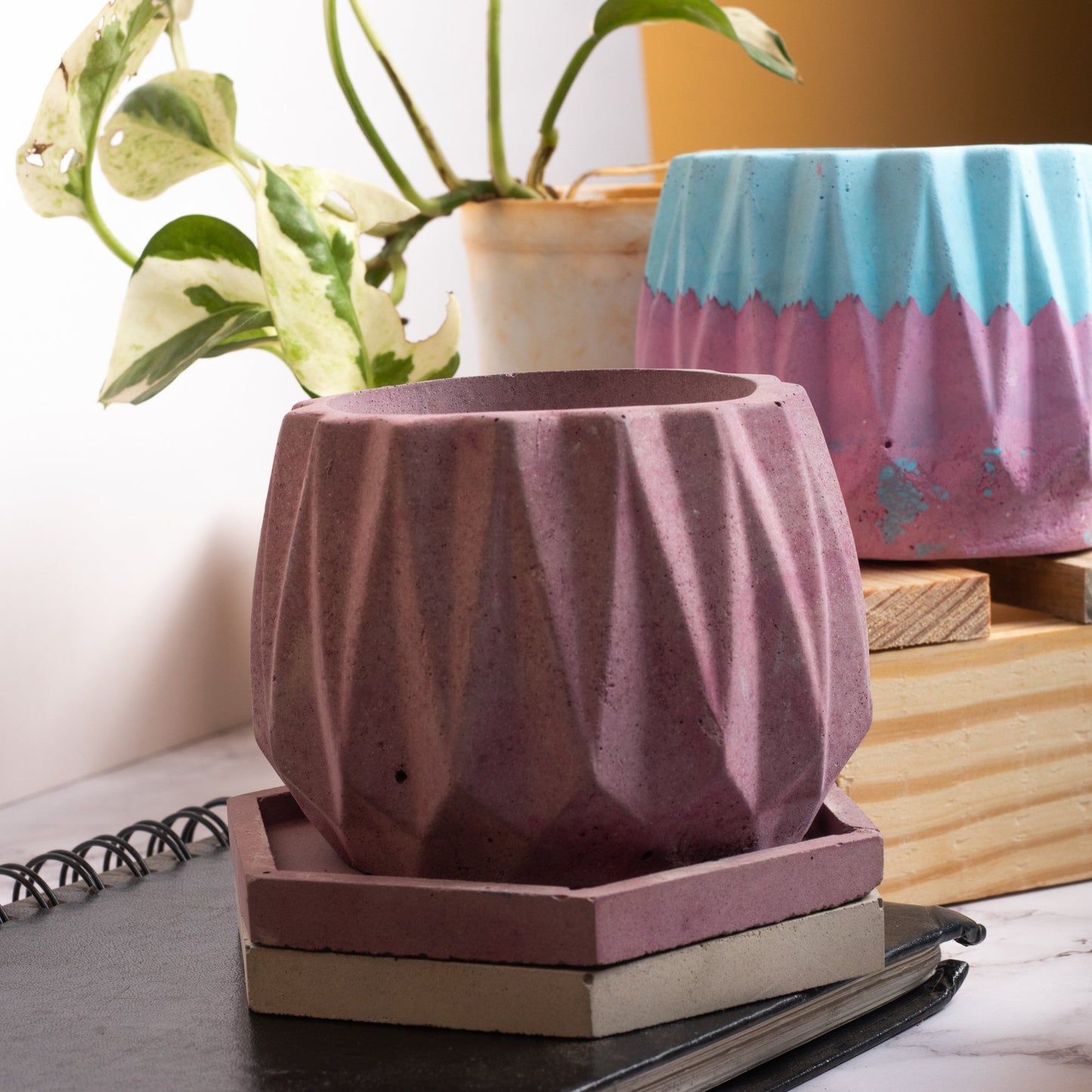 Onca Dark Concrete - Geometric Succulent Planter for Table top Decor, Window sill or Ledge for Home & Office