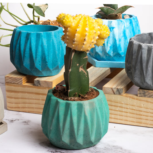 Onca Basil Green - Geometric Succulent Planter for Table top Decor, Window sill or Ledge for Home & Office