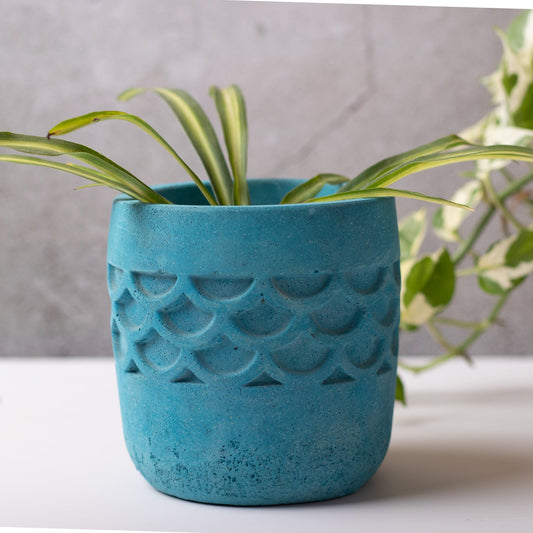 Camber Planter Midnight Blue - Designer Planter for Succulents or Small Size plants