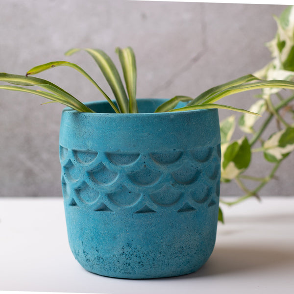 Camber Planter Midnight Blue - Designer Planter for Succulents or Small Size plants