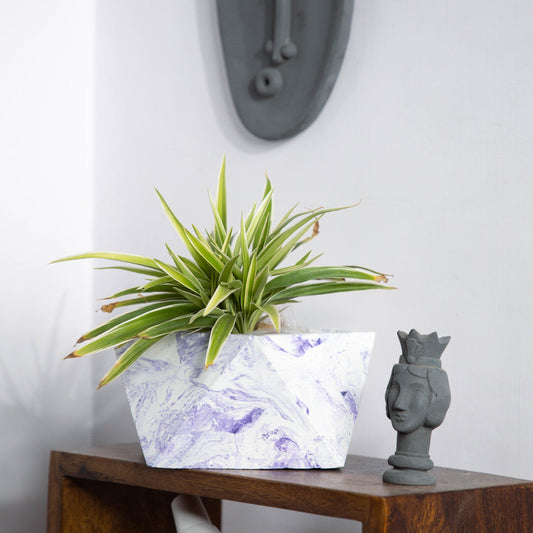 Trisq Geometric Table top Planter for Gift or Decor, Customised planter for gifting