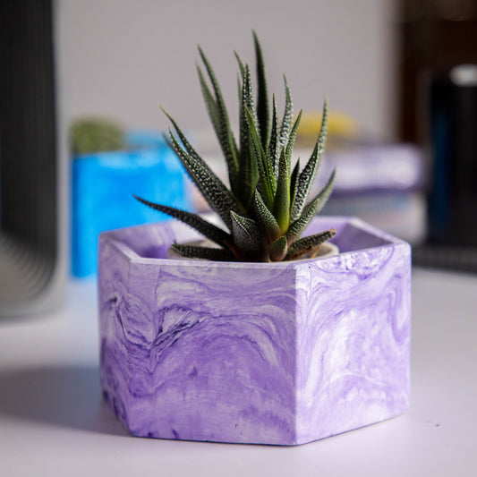 Hexo- Orchid marble - Hexagonal concrete pot for succulents & small plants perfect for office and study table
