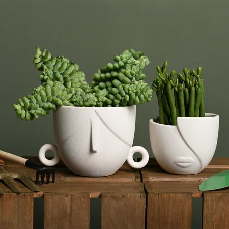 The Art of Indoor Gardening: Choosing the Perfect Planters