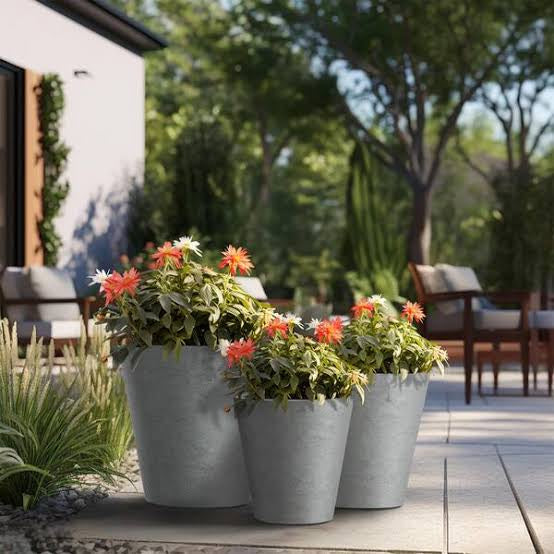 The Rising Trend of Concrete Planters in Modern Gardening