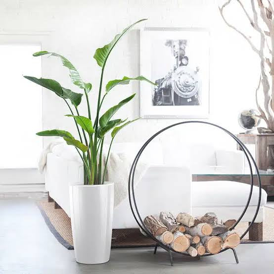 Choosing the Right Planters for Your Home: A Style Guide