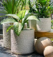 Why Concrete Planters Are the Perfect Choice for Indian Gardens