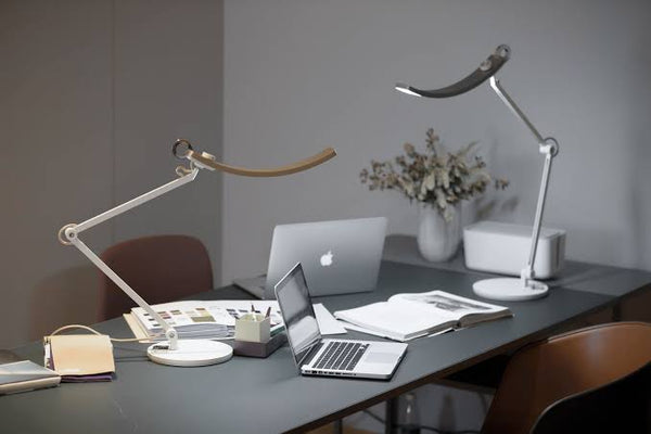 Upgrade Your Office Setup with These Essential Accessories