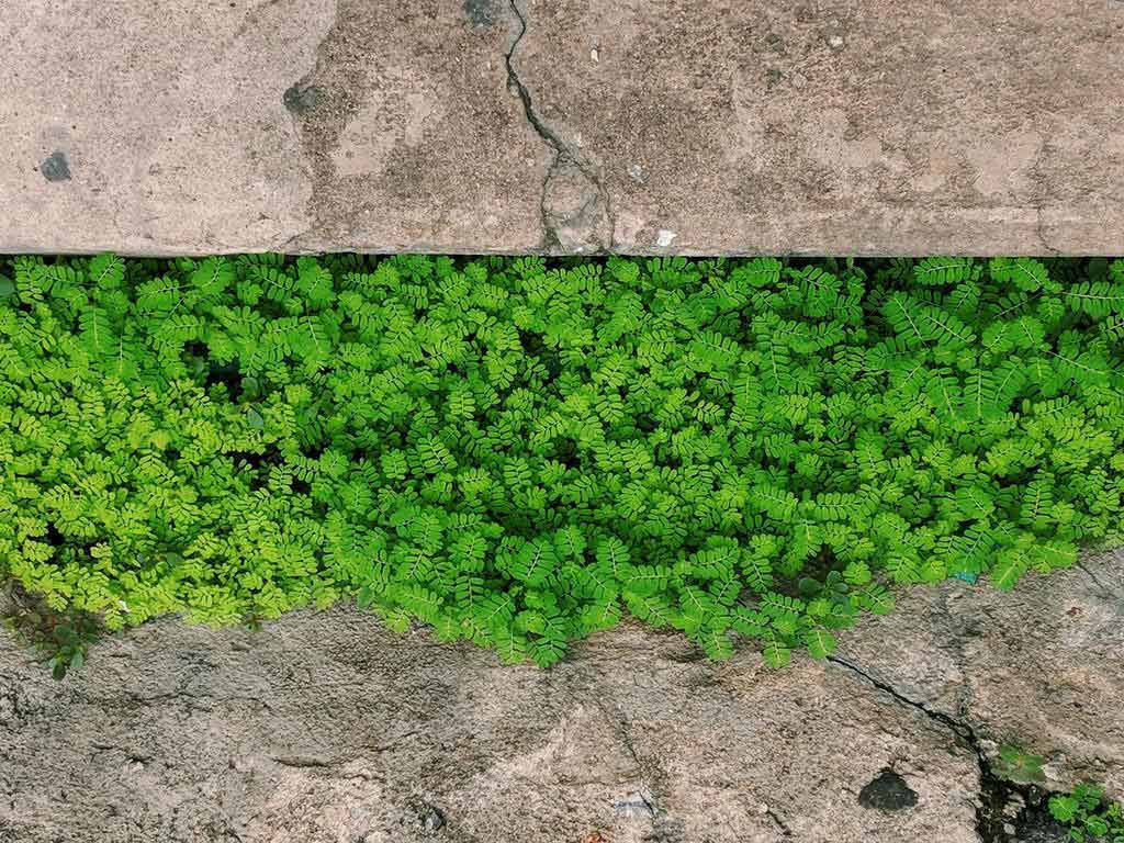 Here’s why concrete is the next big thing in the interior decor and lifestyle space 