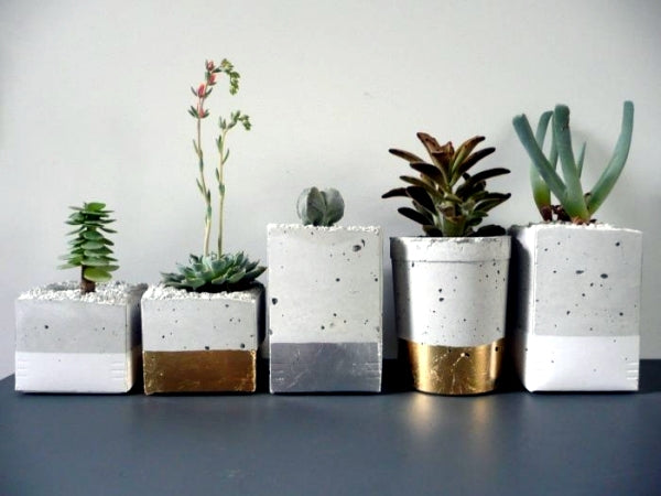 Adding Charm to Your Space: Concrete Planter Decor Ideas