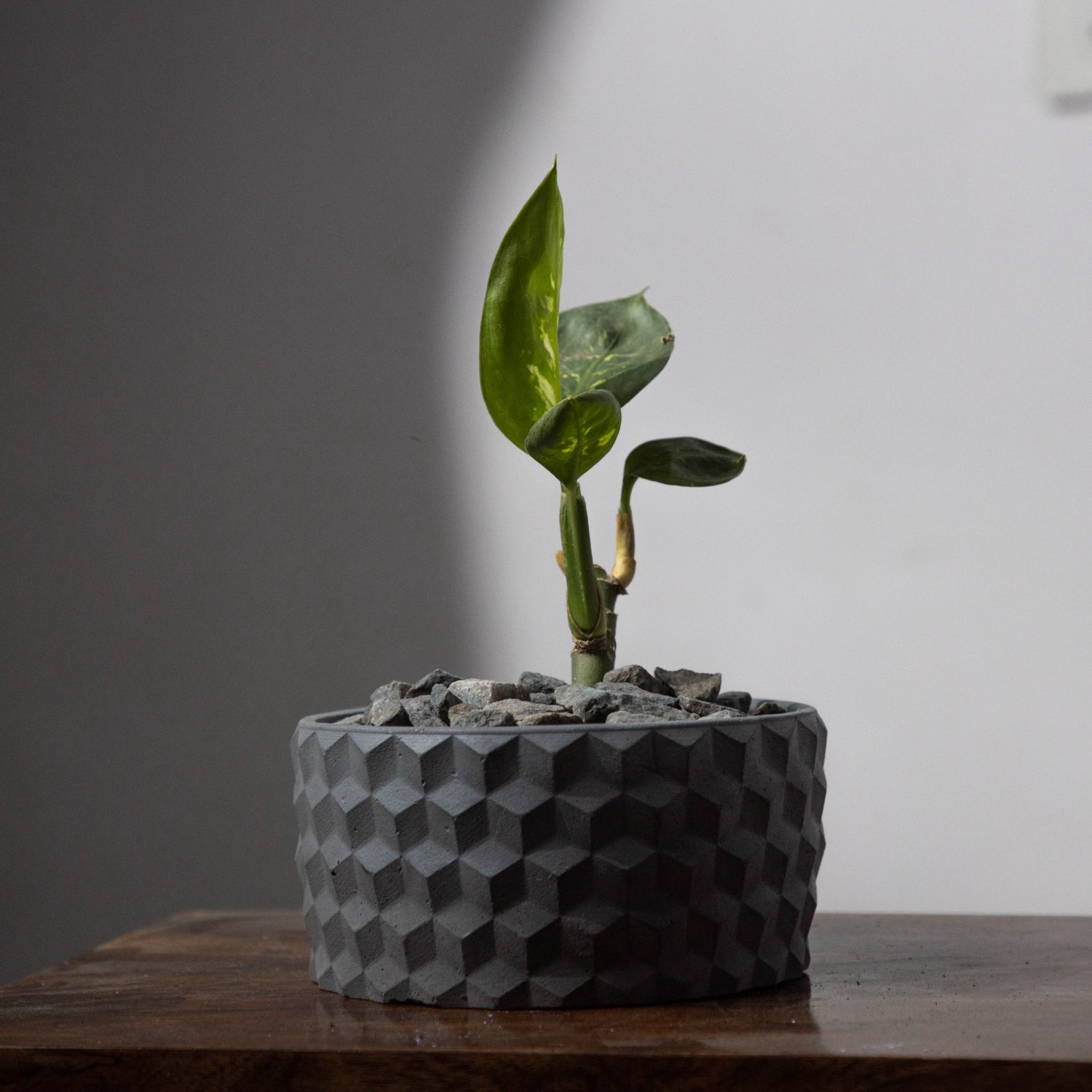 Pot & Planters