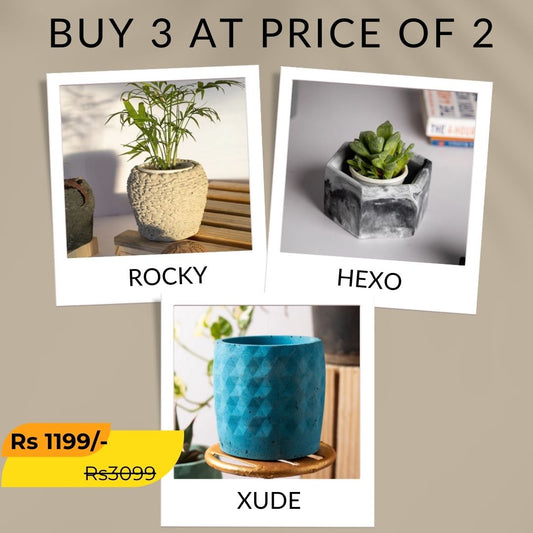 Best seller planter combo 1