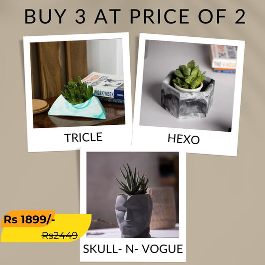 Best seller planter combo 4