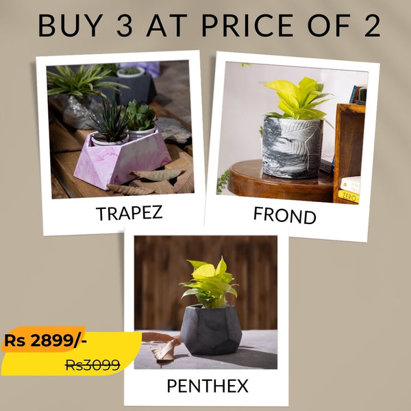 Best seller planter combo 7