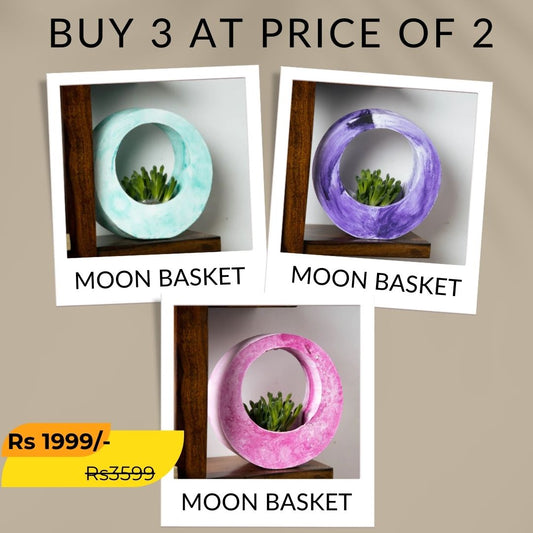 Best seller planter combo 10