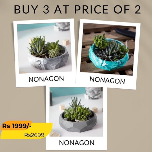 Best seller planter combo 11