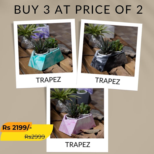 Best seller planter combo 12