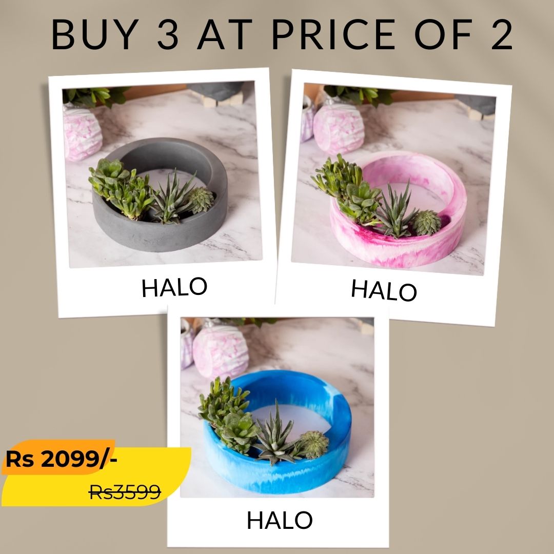 Best seller planter combo 13