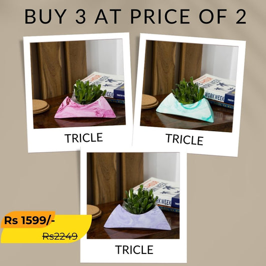 Best seller planter combo 14