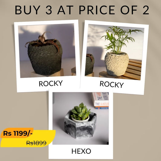 Best seller planter combo 15