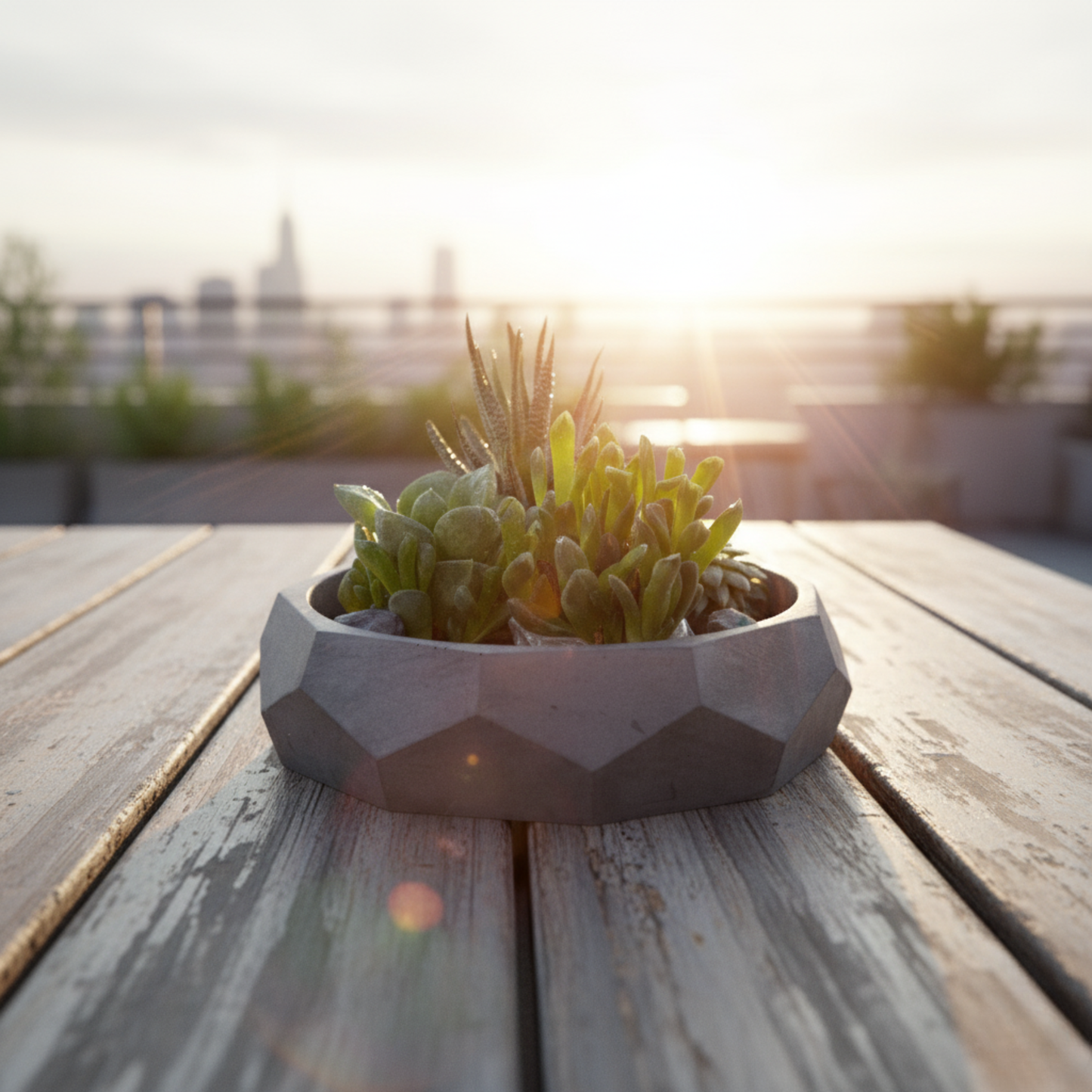 Nonagon Bowl-Dark Concrete-All-purpose Homeware- Fruit bowl and Plant bowl