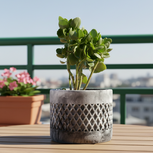 Dimen Planter Nero Marble - Best Geometric Planter for home Decor for Indoor & Outoor Gardening