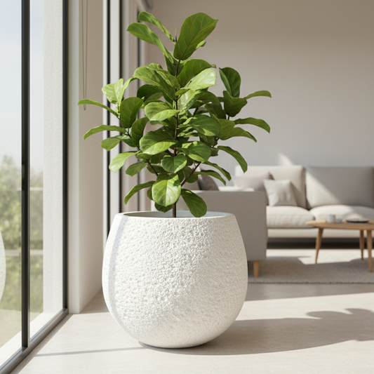 The Nebula Pot Planter
