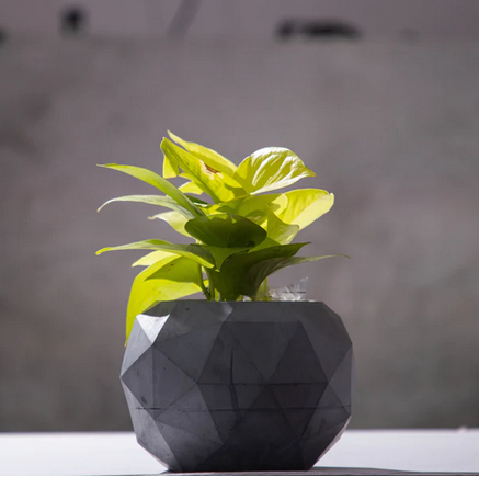 Best seller planter combo 26