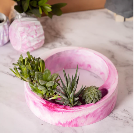 Best seller planter combo 13
