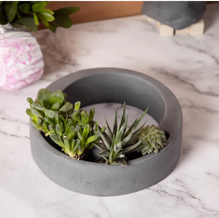 Best seller planter combo 13