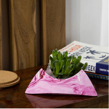 Best seller planter combo 26